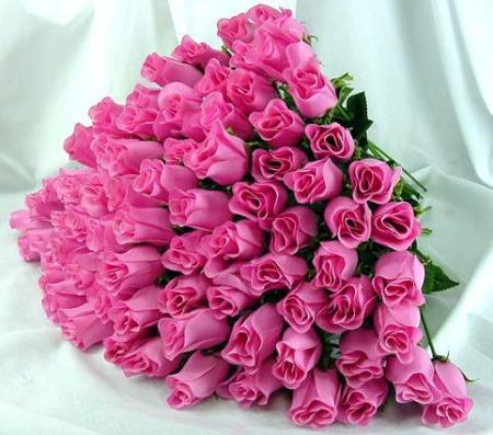 les fleurs rose