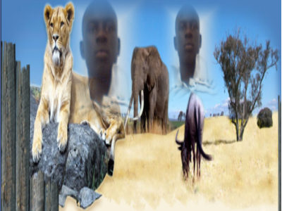 assane