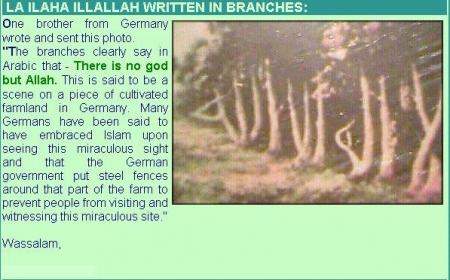la hilaha