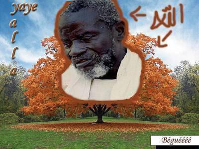 serigne saliou mbacke