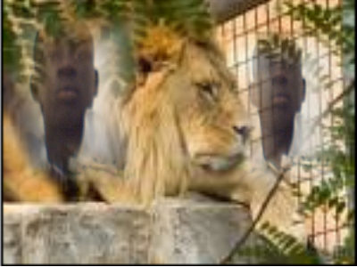 PARC HANN