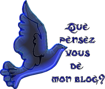 MON VIP-BLOG